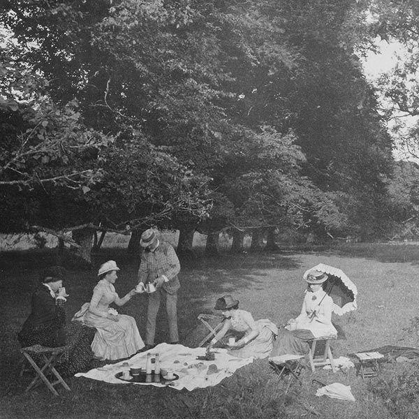 Avington Park Picnic