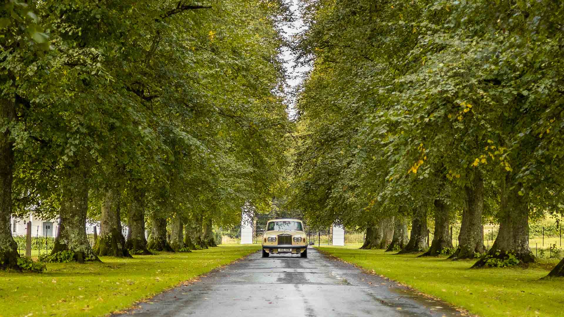 Rolls Royce driving up drive way at Avington Park