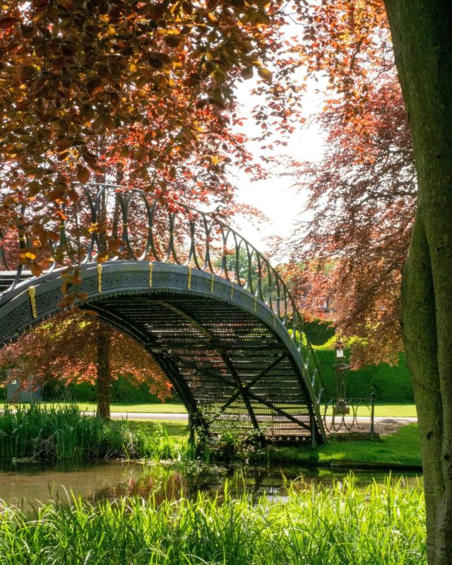 Welcoming the New Year immersed in nature ð³ð

Seeking a fresh start for the New Year? Escape to the serene Avington Lakes, where tranquility awaits...

#VisitHampshire #WinterGetaway #Avington